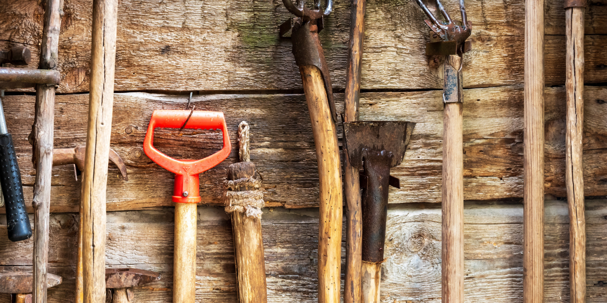 The 5 Tools Every Beginner Needs