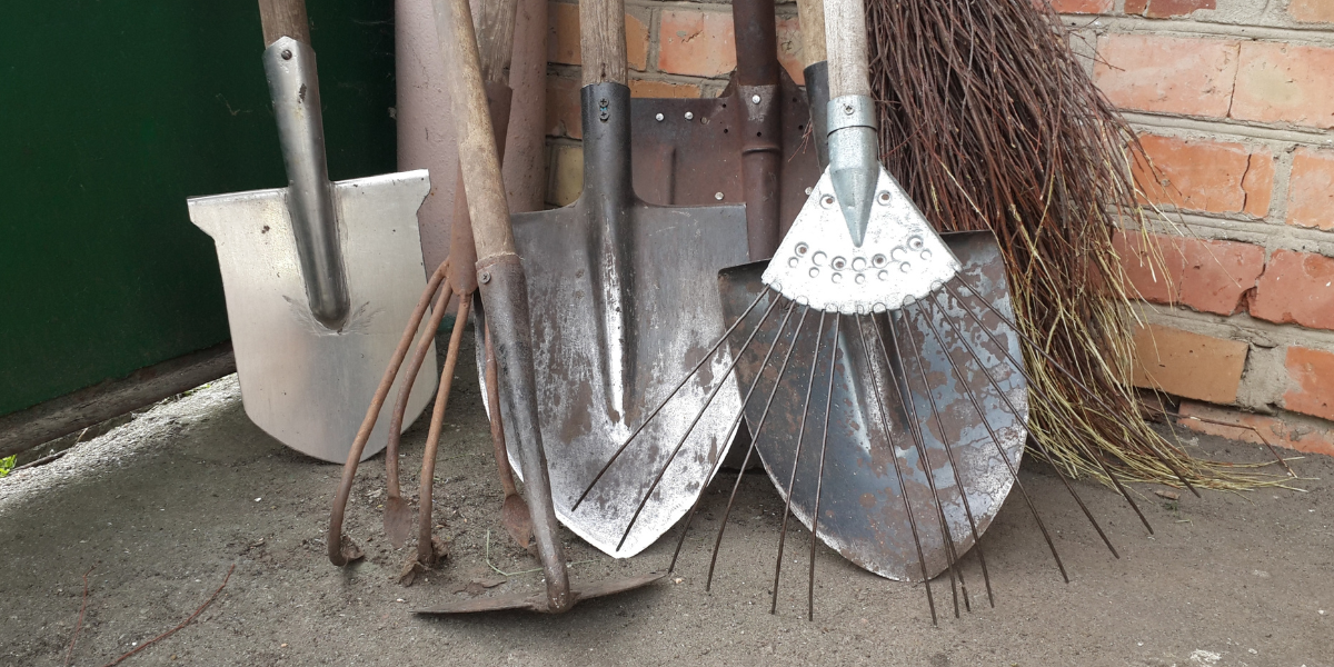 Our favourite gardening tools this year