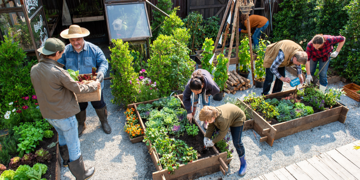 How to Find Your Gardening Community
