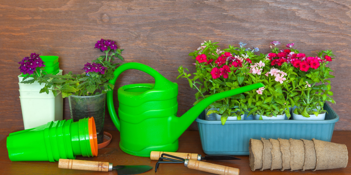How to Look After Your Tools So They Last a Lifetime
