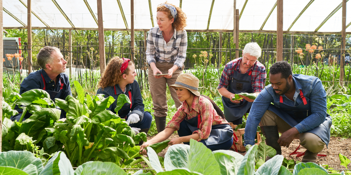 What Gardeners Talk About When They Meet for the First Time