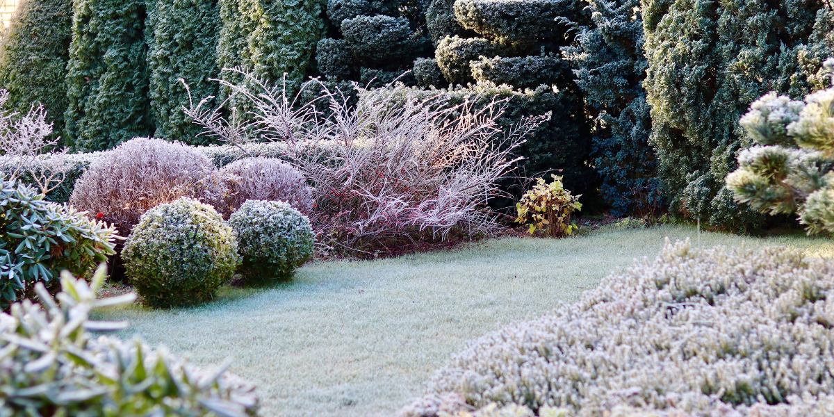 How to Keep Your Garden Productive Through Winter