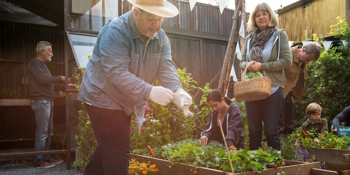 A group of gardeners working together around a raised vegetable bed